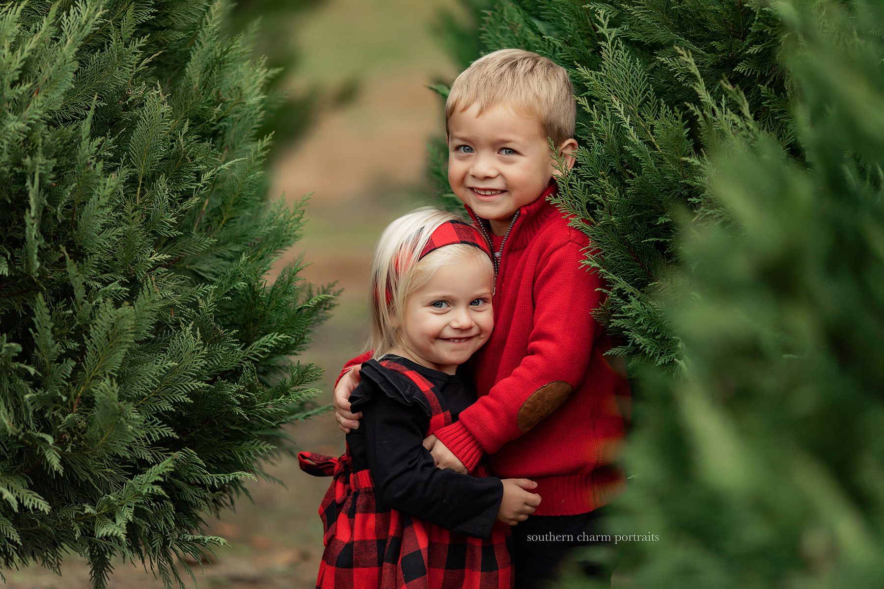 knoxville tn photography