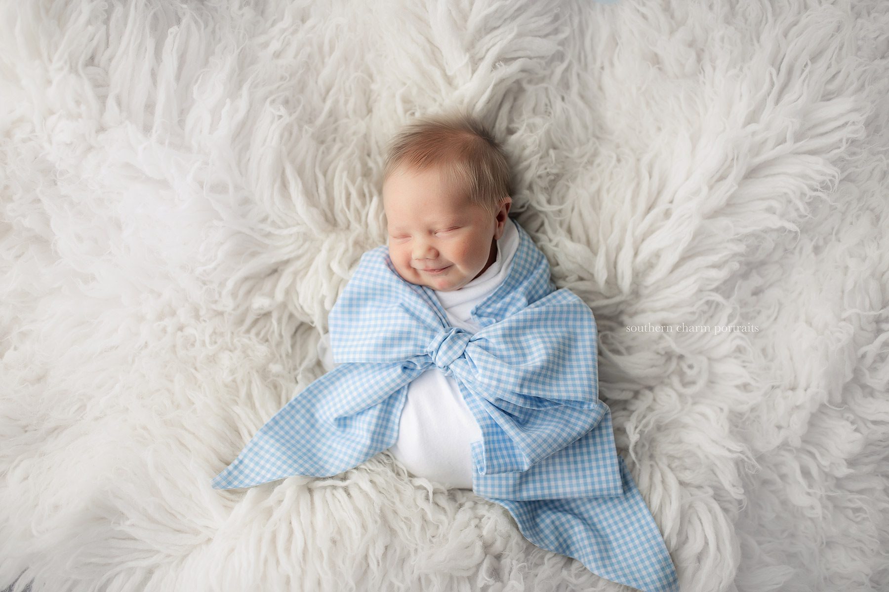 knoxville tn newborn portraits