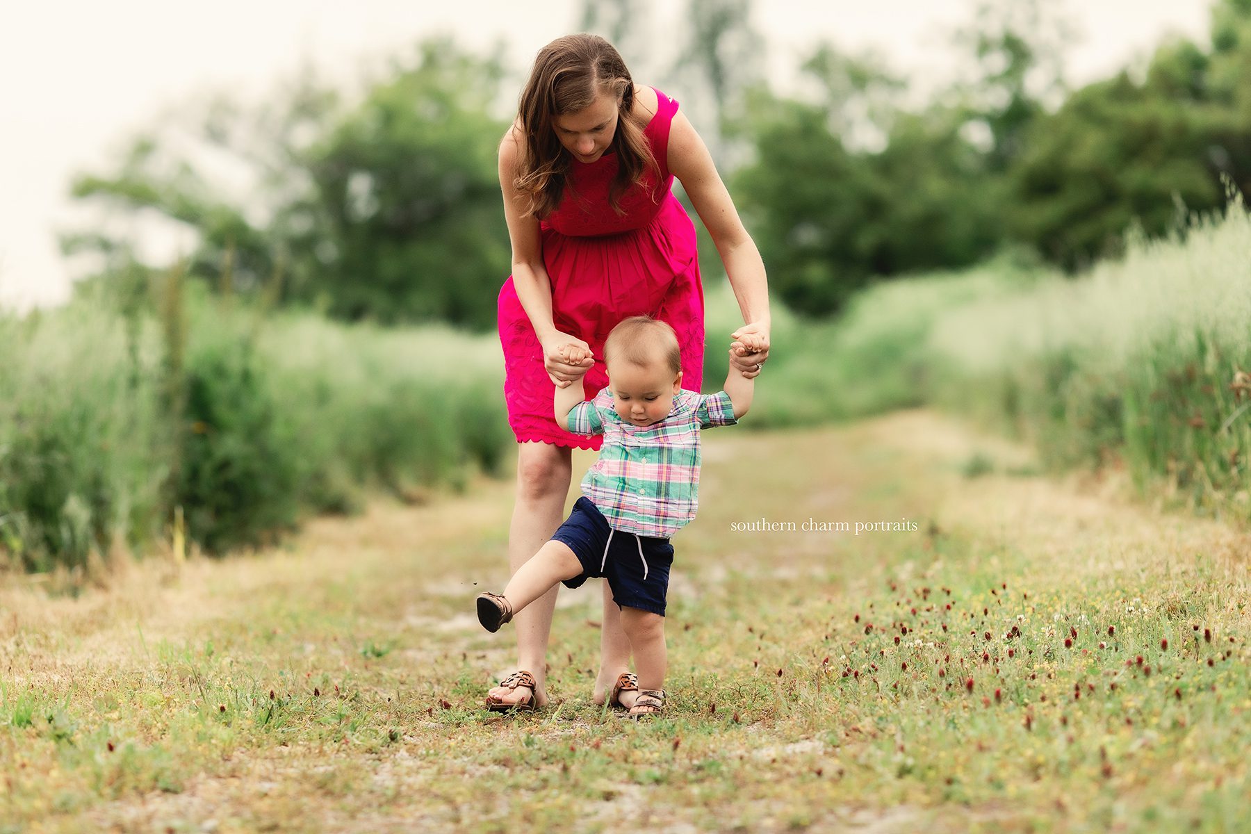 knoxville tn family pictures