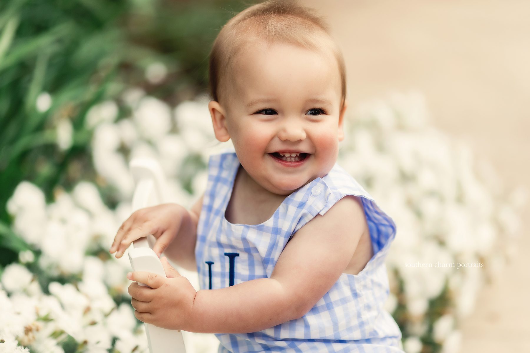 knoxville tn baby photographer