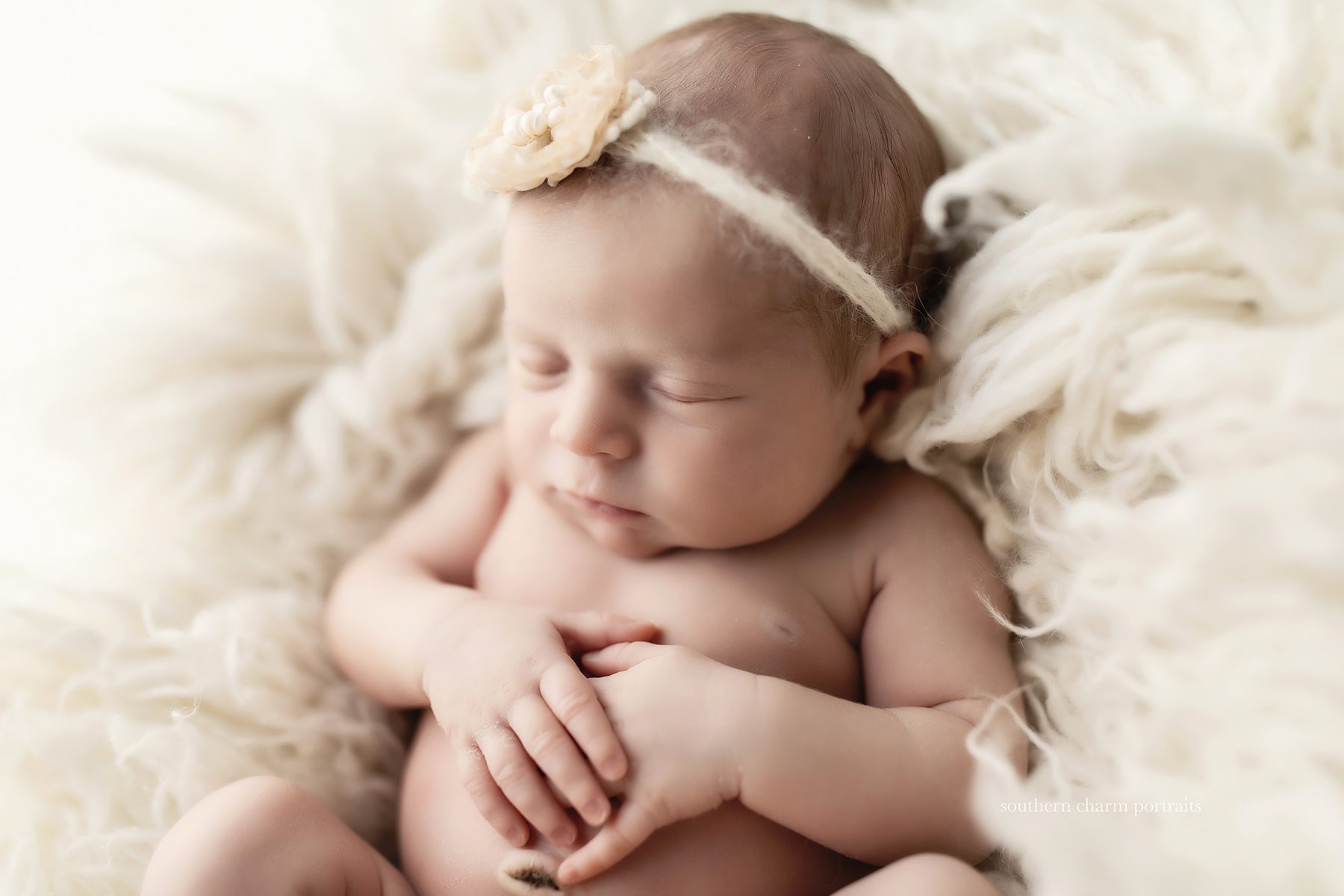 knoxville baby photographer