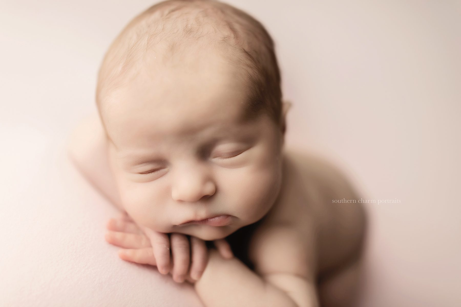 knoxville baby photographer