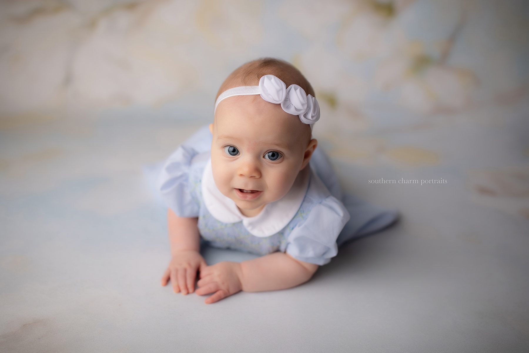 knoxville tn baby portraiture