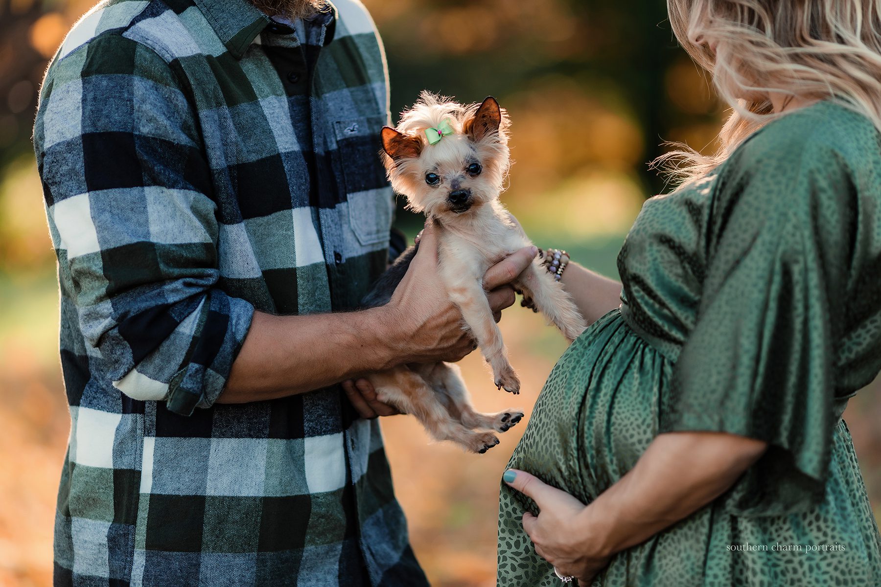 knoxville maternity photography