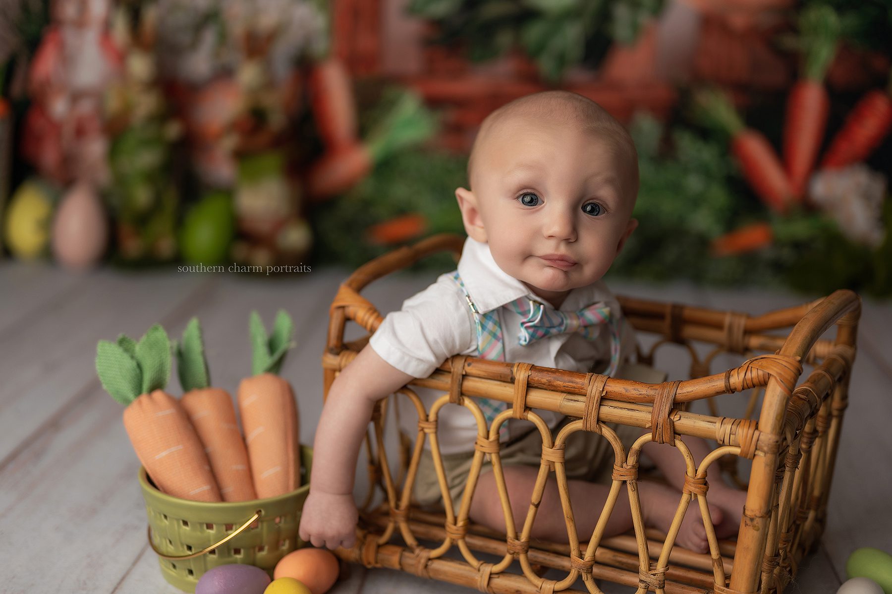 knoxville baby photographer