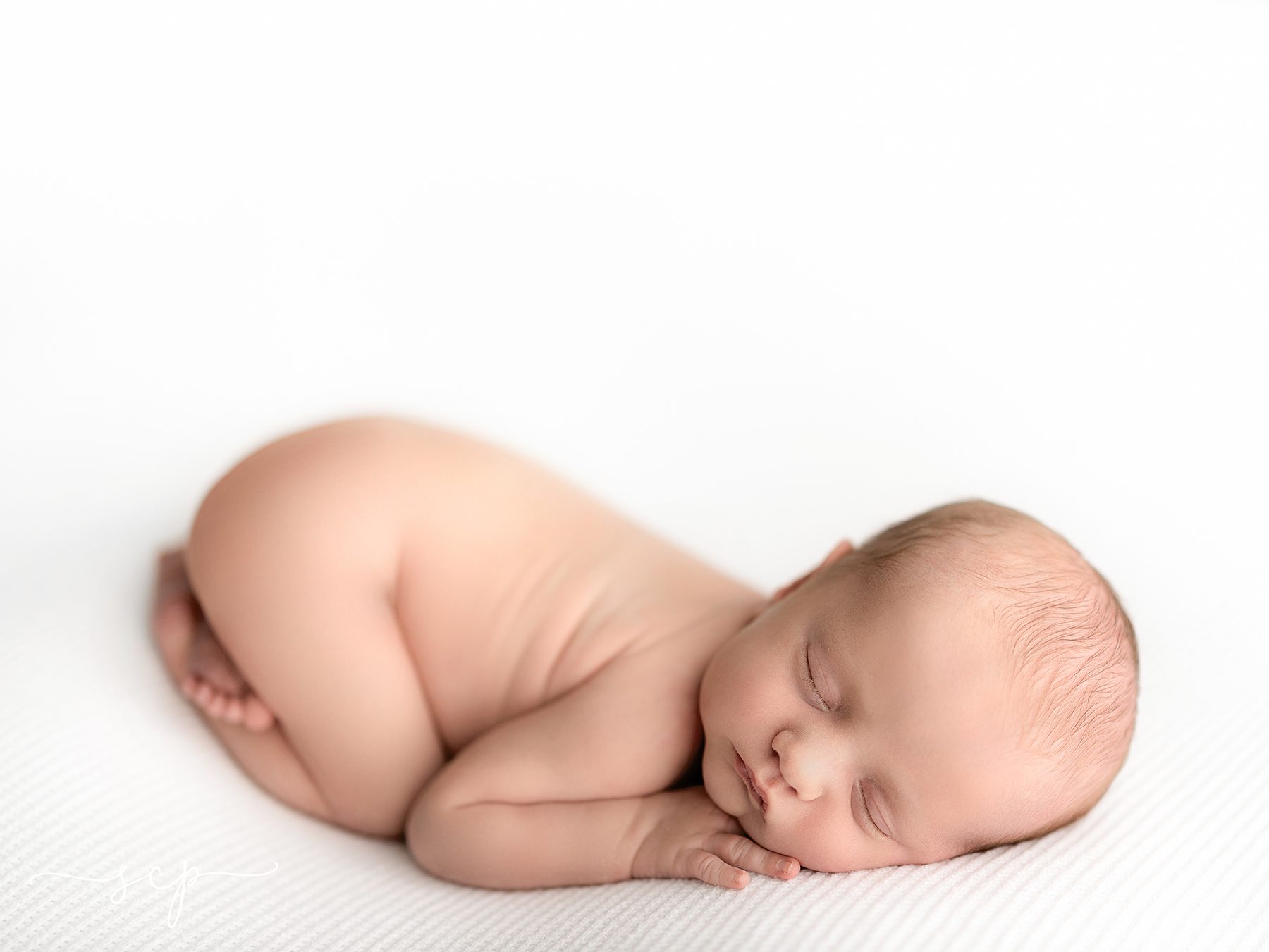 simple white newborn photography