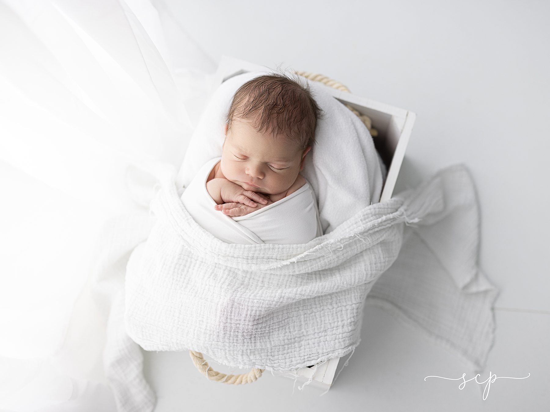 knoxville newborn studio