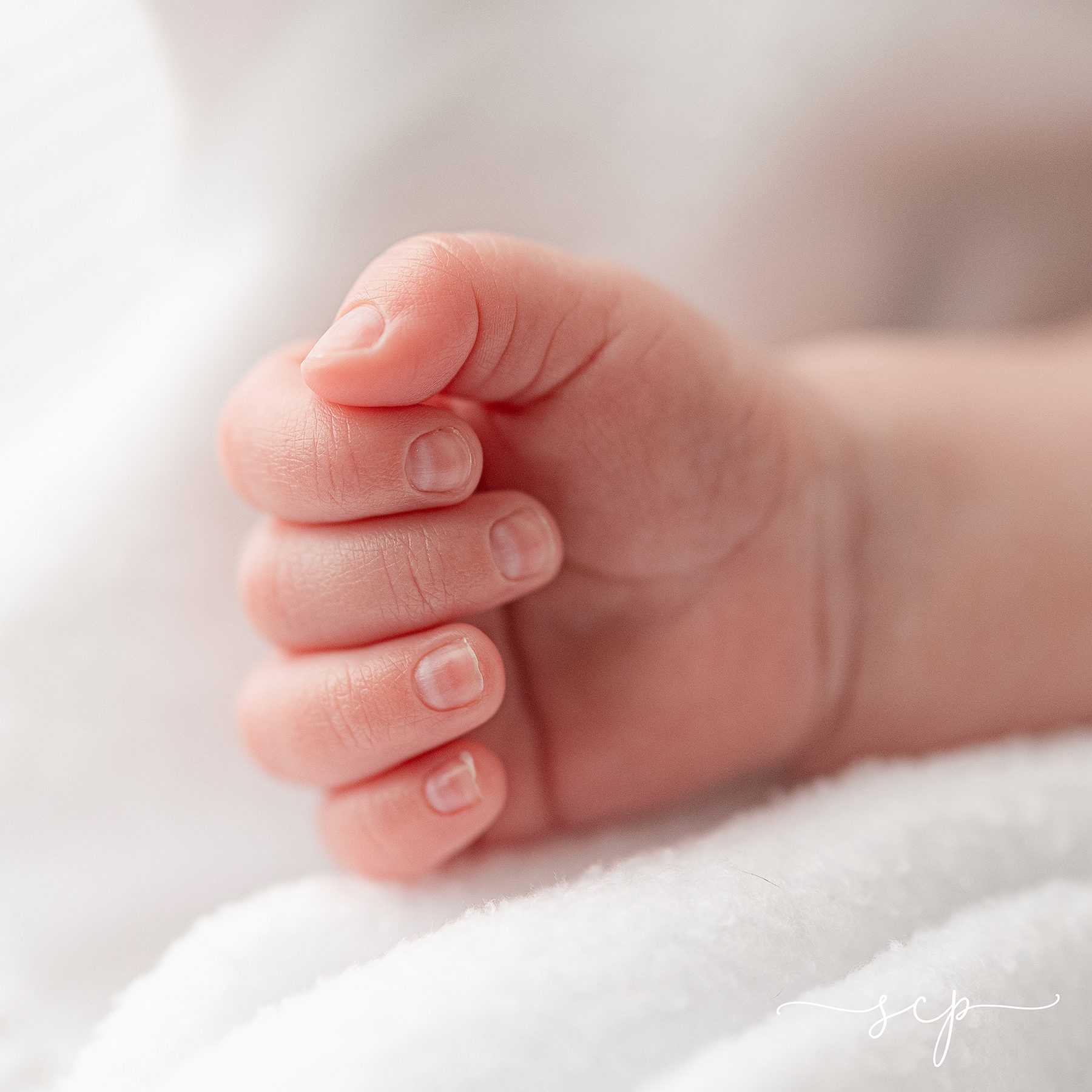knoxville tn newborn studio