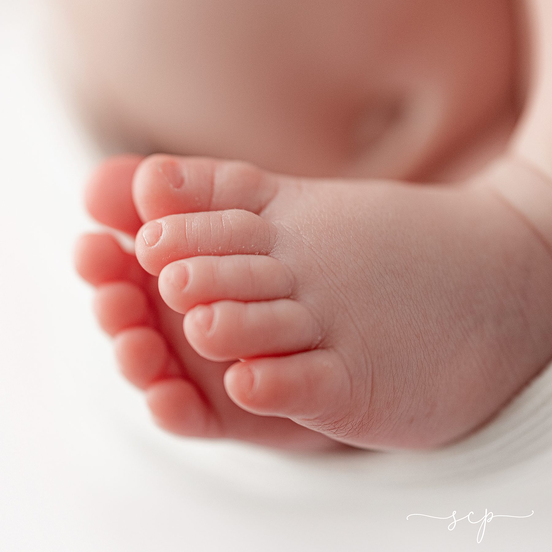 capturing the details of a newborn baby knoxville