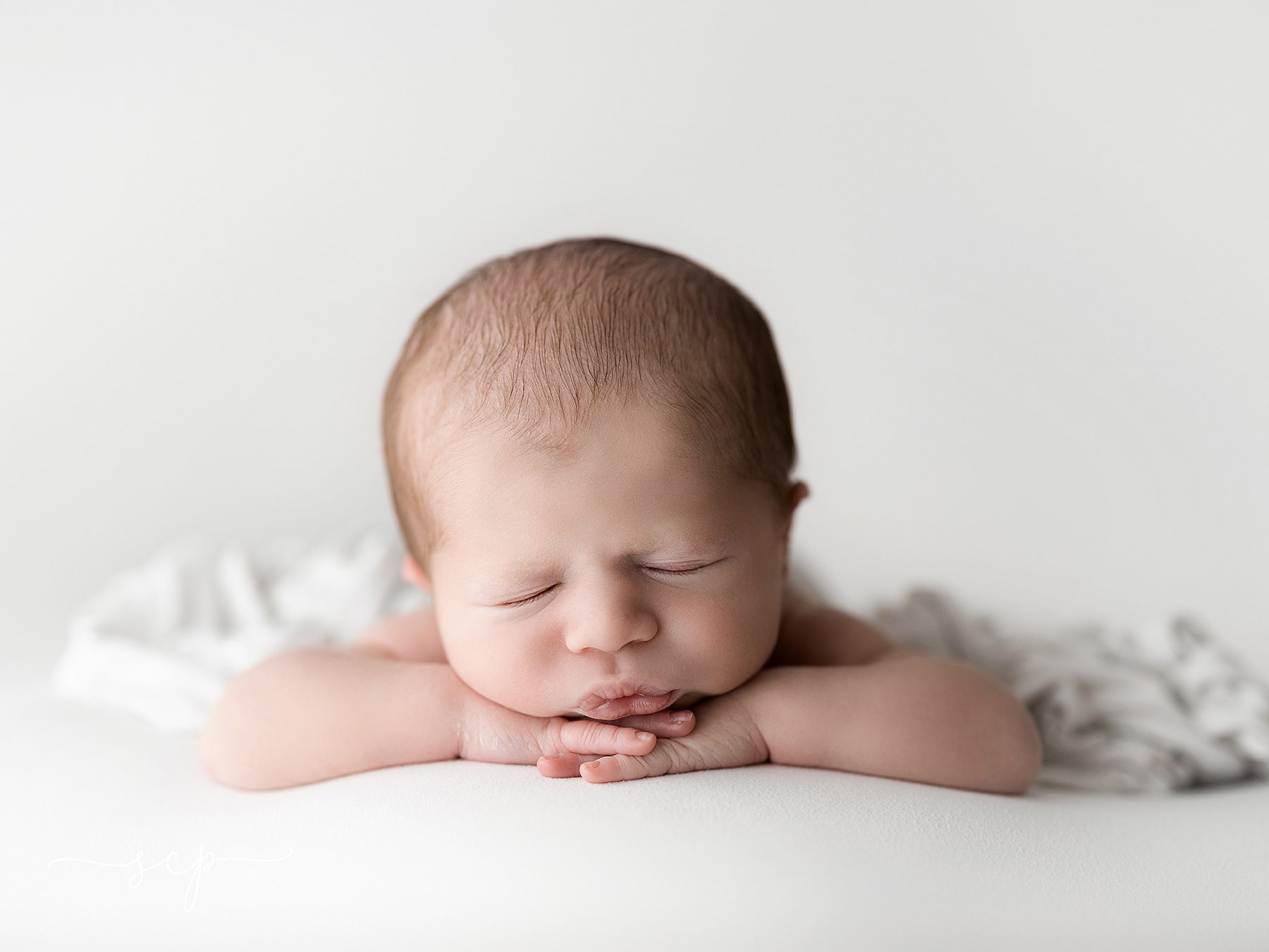 knoxville newborn photography