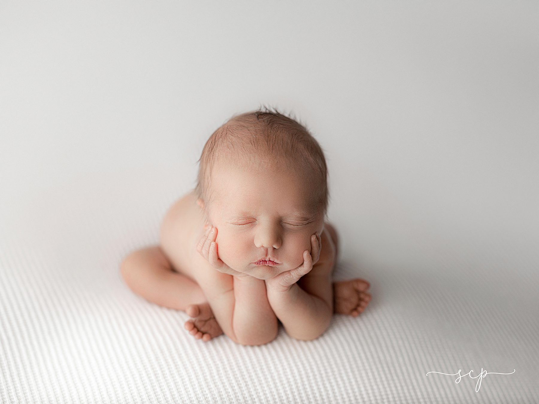 newborn portraits knoxville