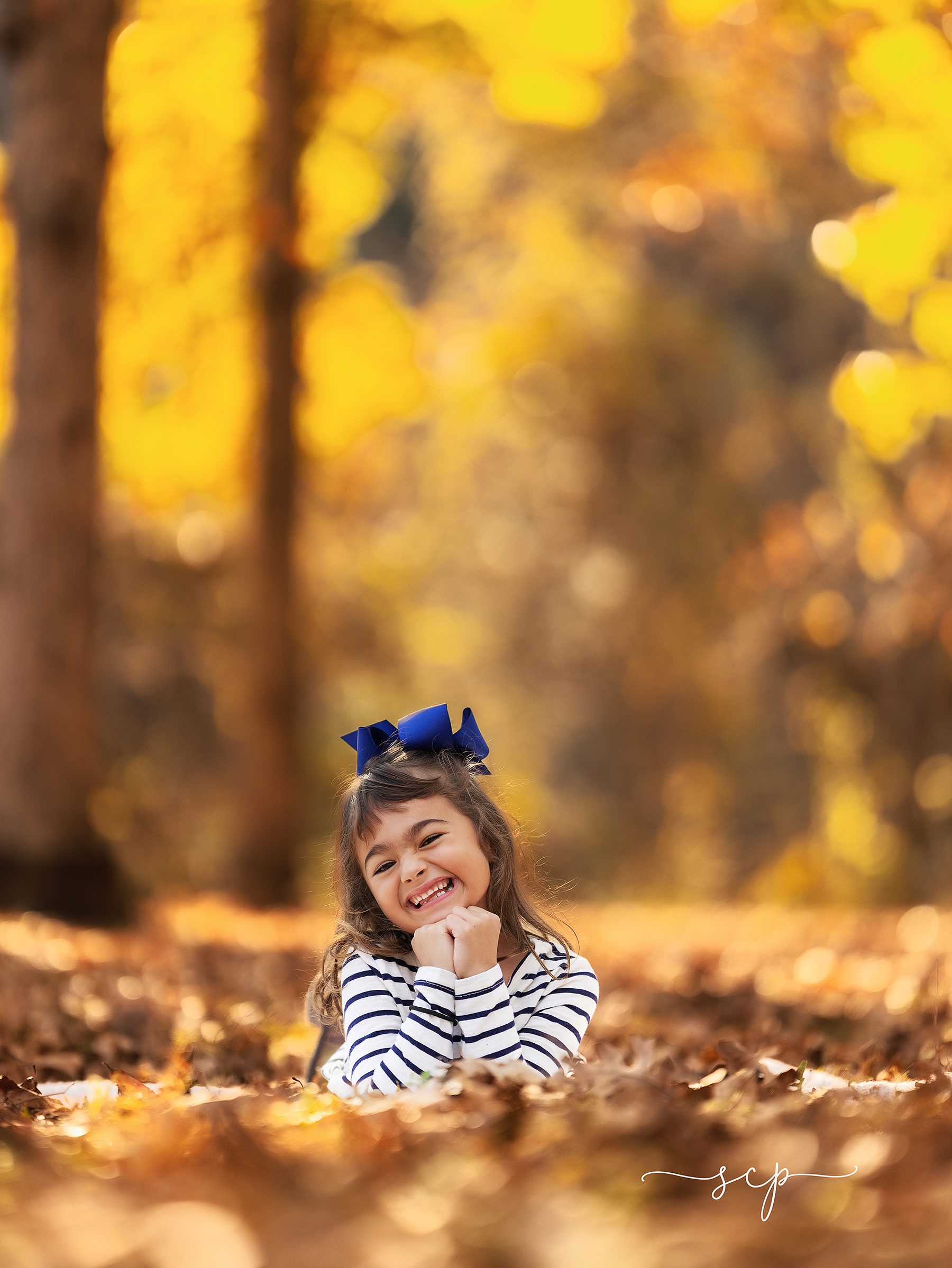 knoxville tn Fall mini sessions