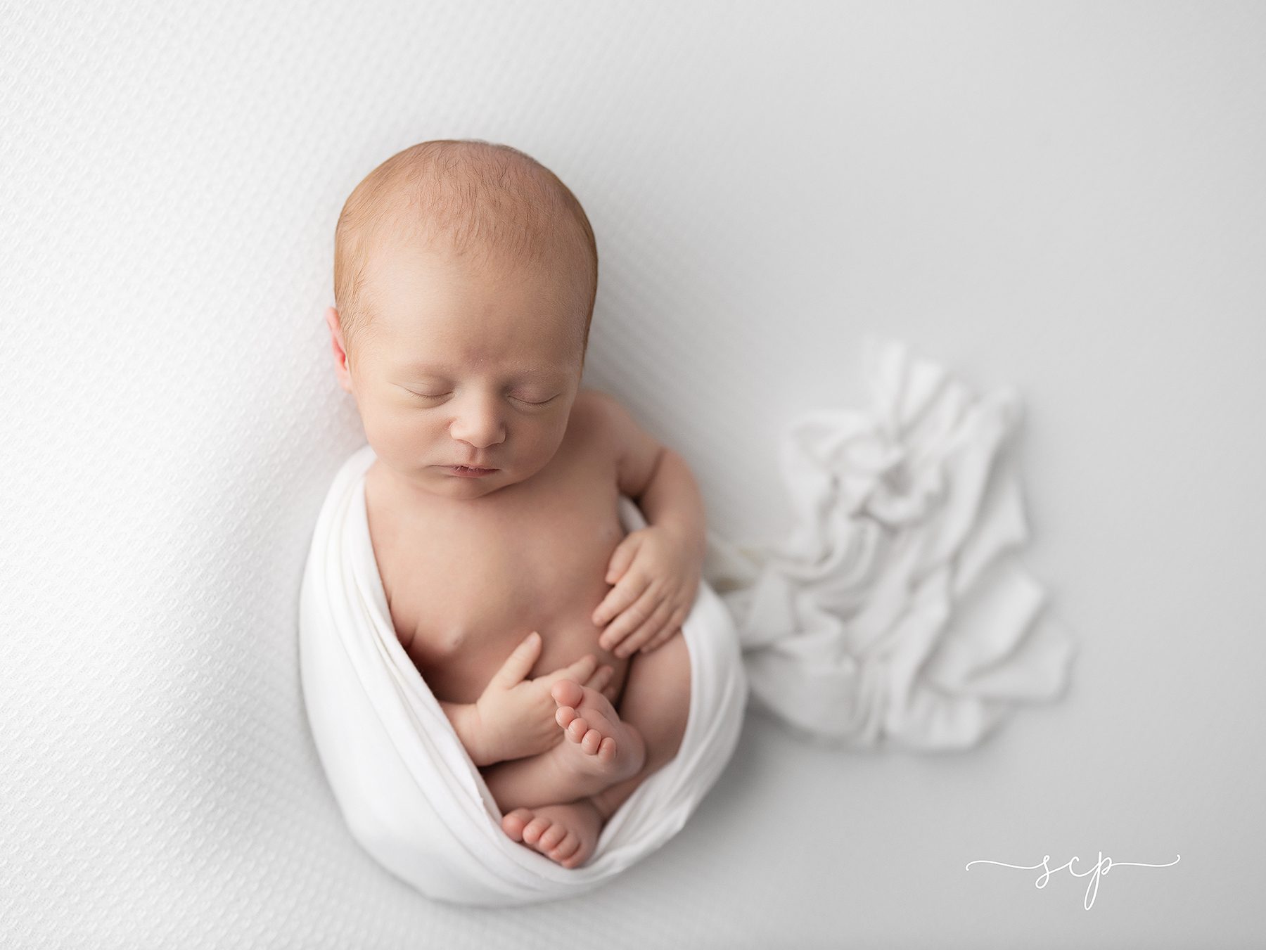 knoxville newborn photography