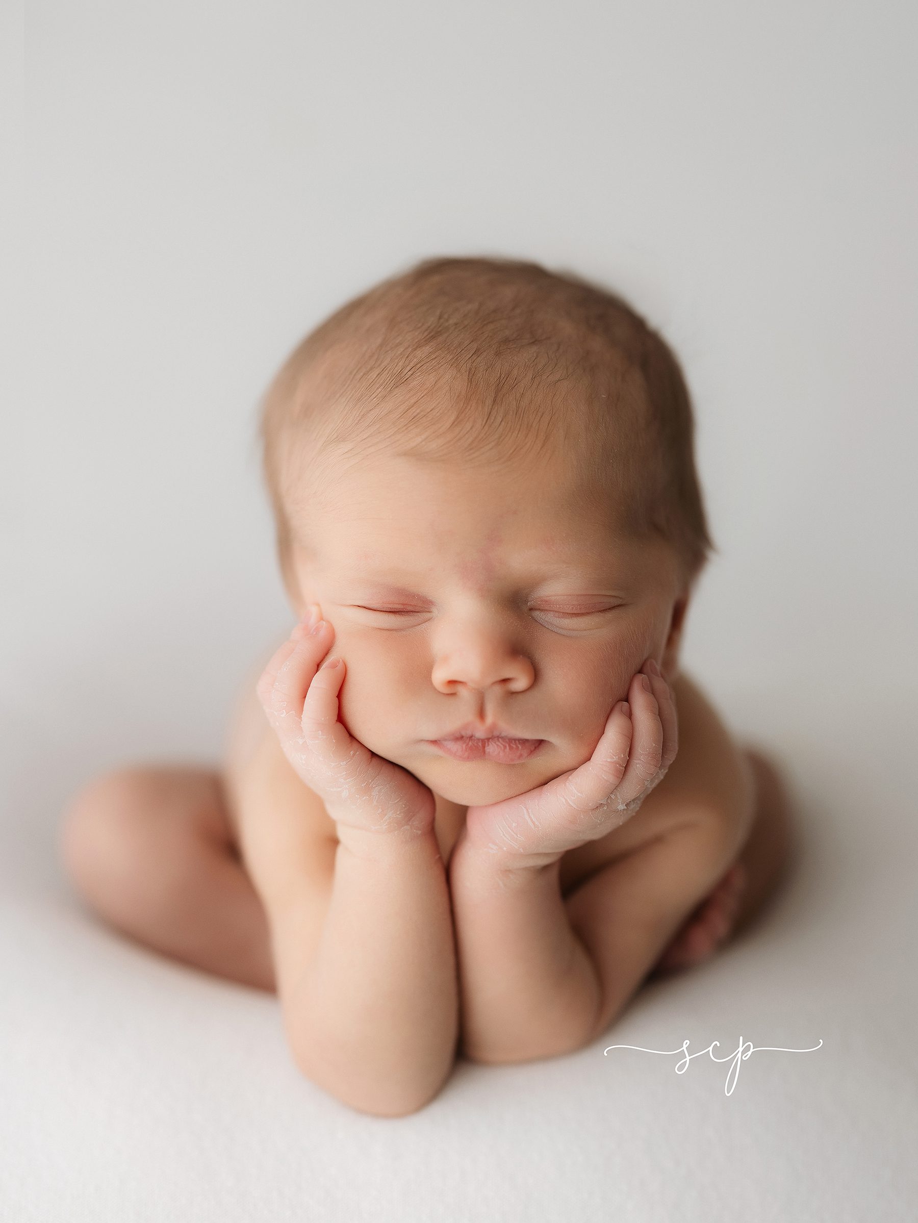 newborn artist knoxville