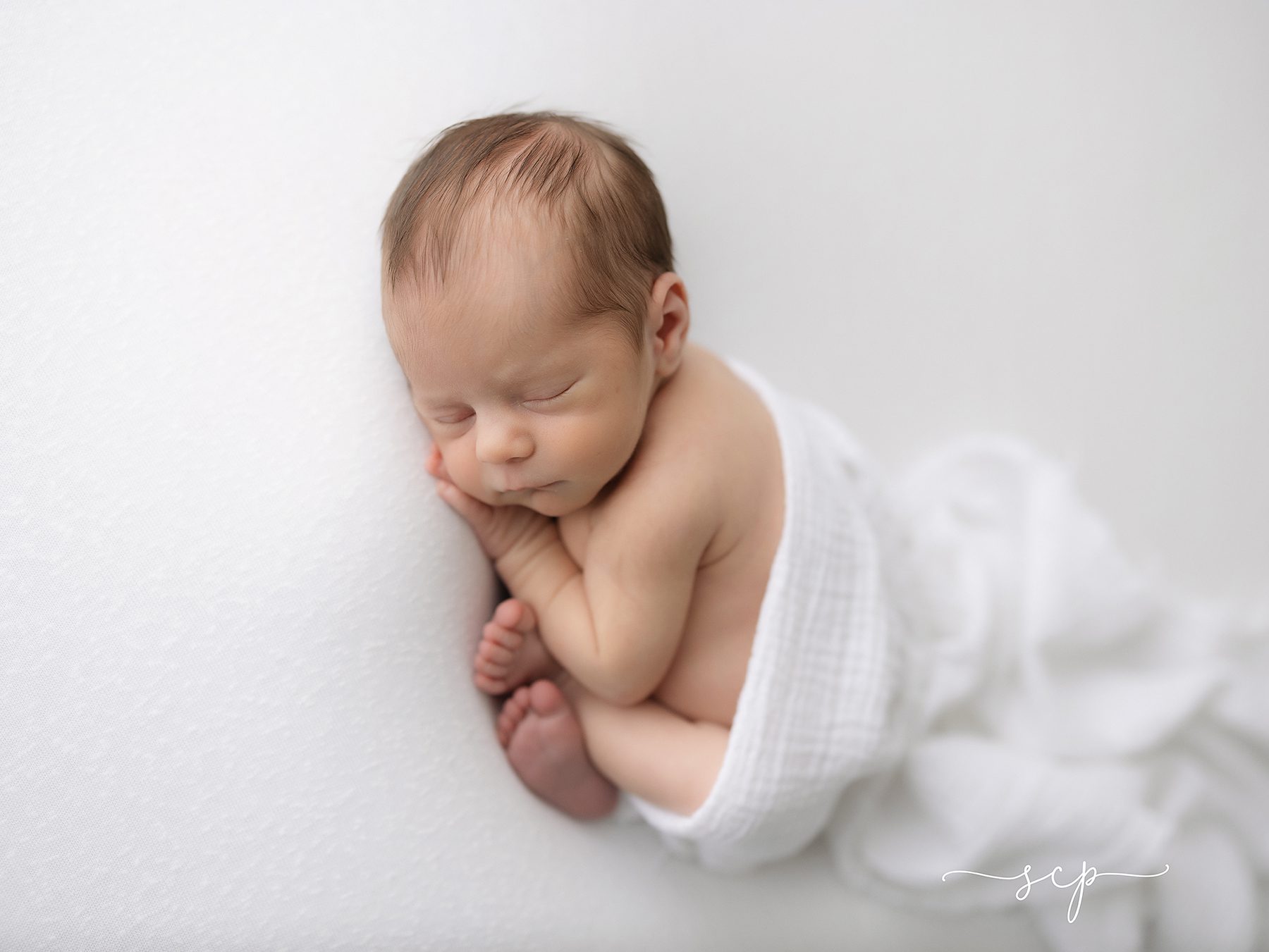 newborn portraits knoxville tn