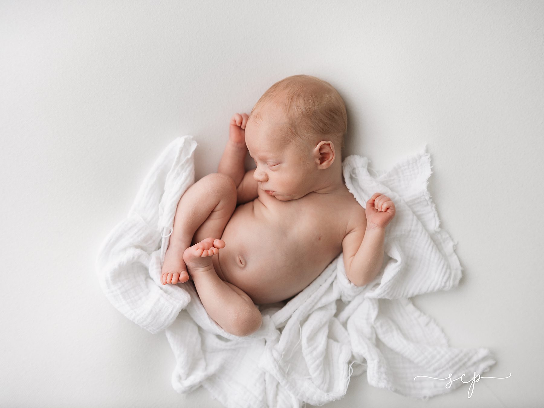 classic newborn photographer