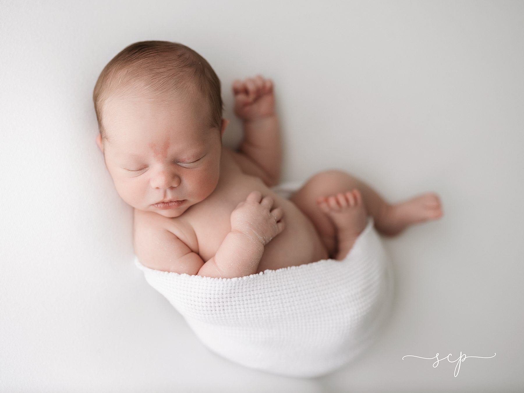 best baby photographer knoxville