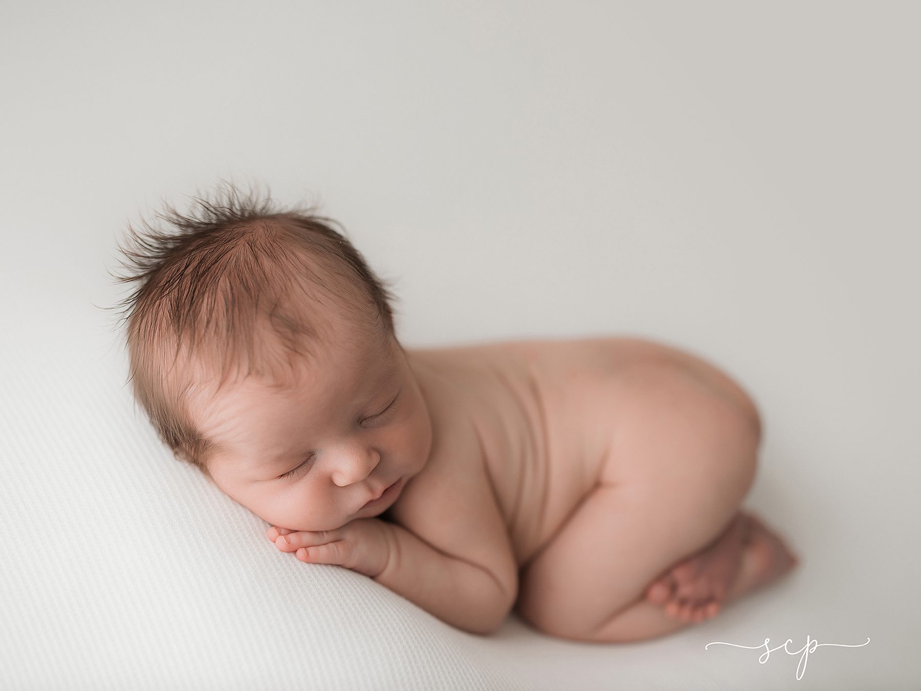 newborn photography knoxville tn