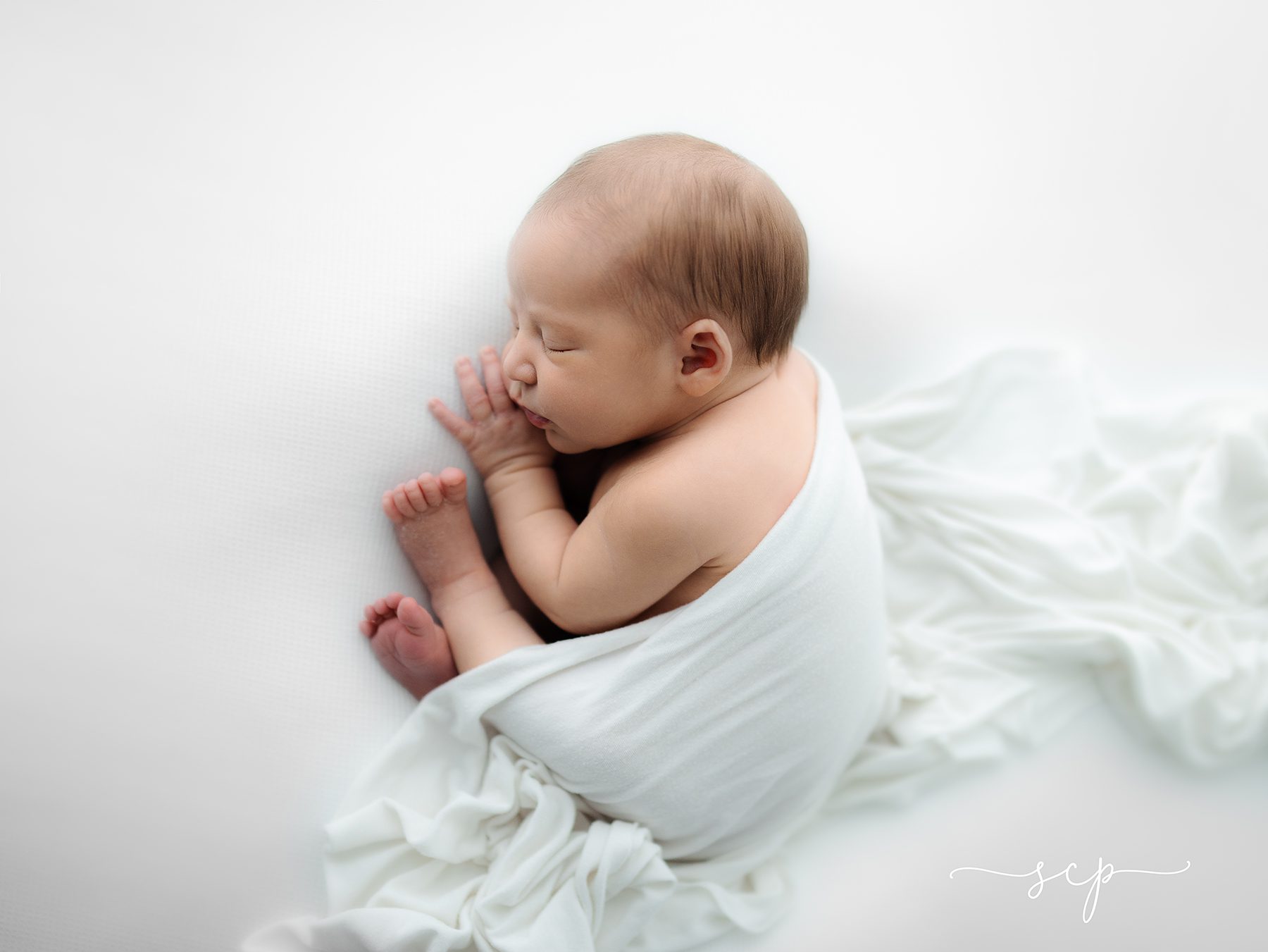 knoxville's leading newborn photographer