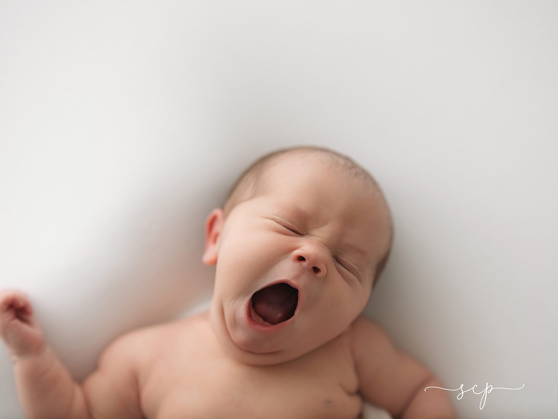 rebekah walden newborn photographer