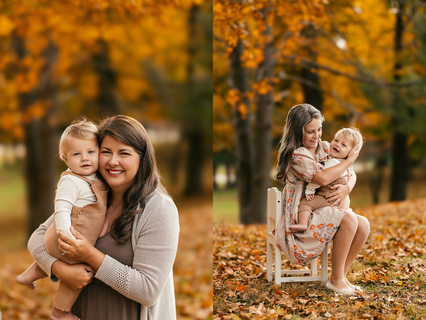 cove lake state park 