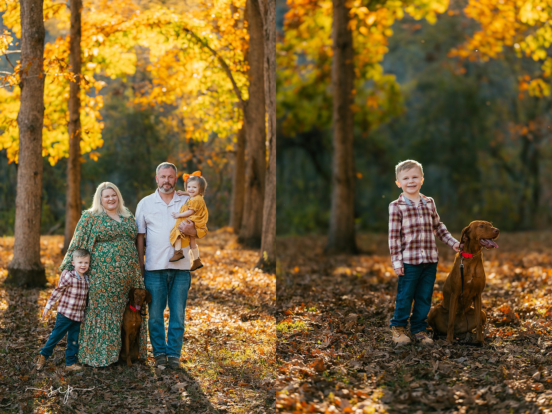 knoxville tn family mini sessions