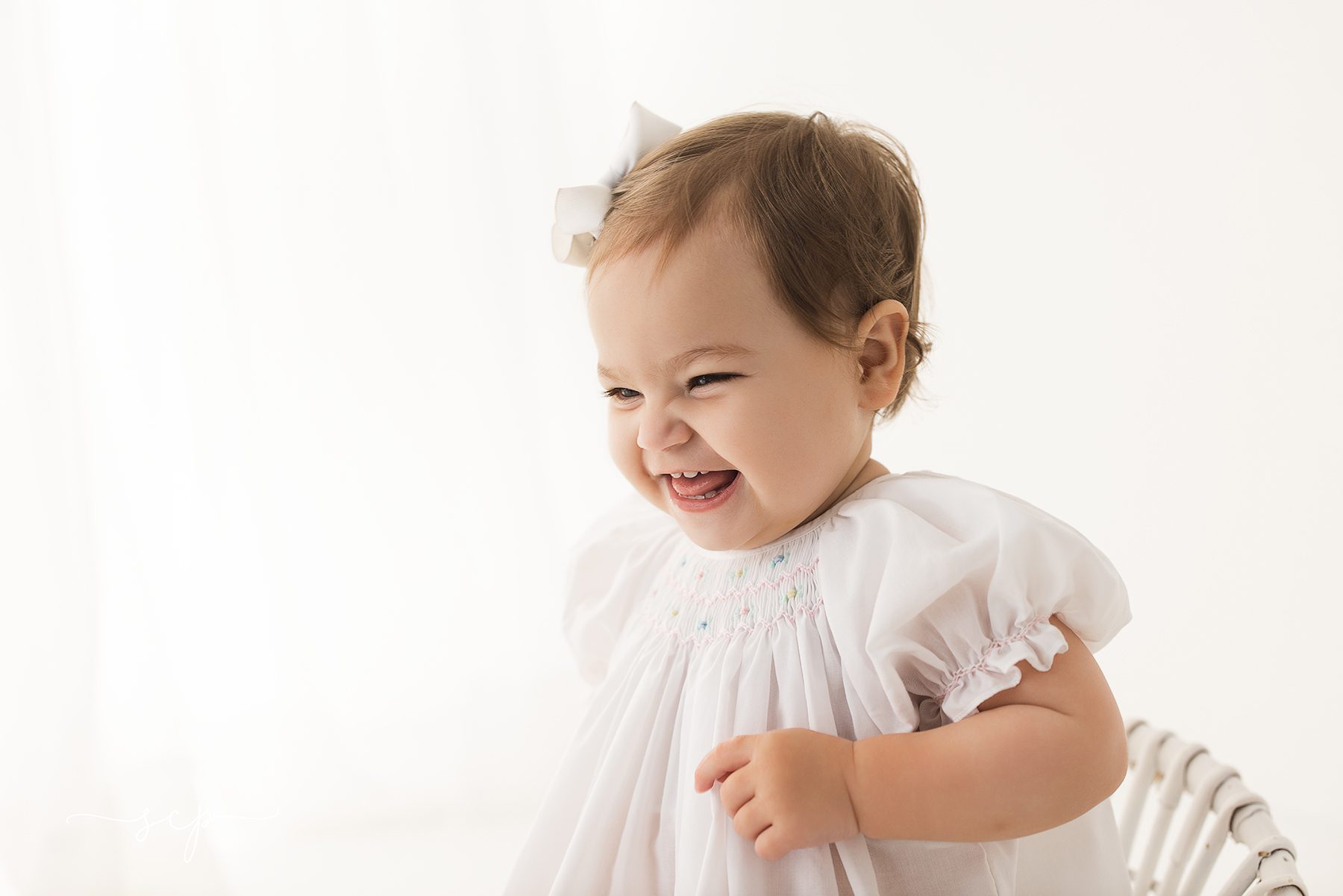 knoxville milestone sessions