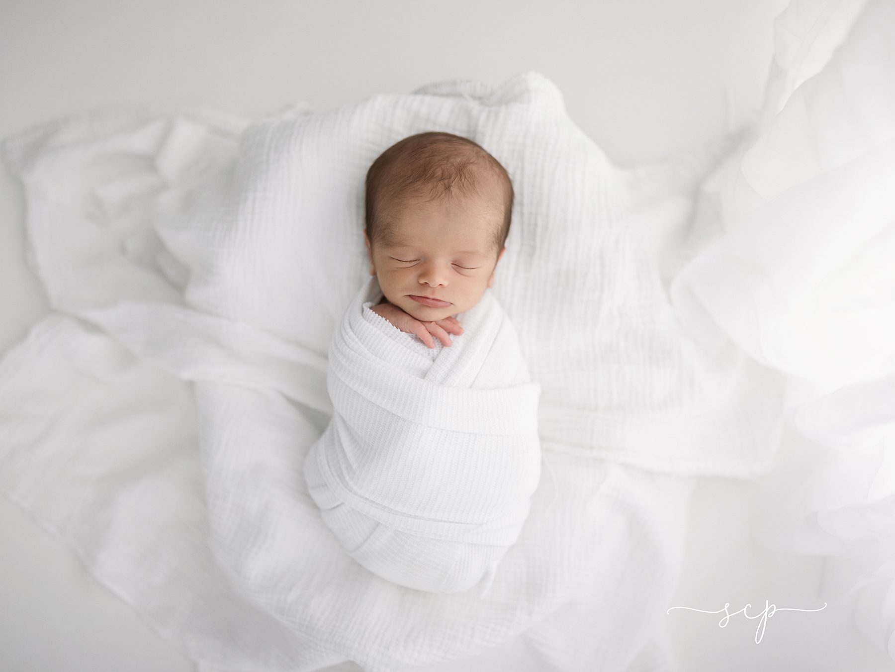 knoxville tn photographer