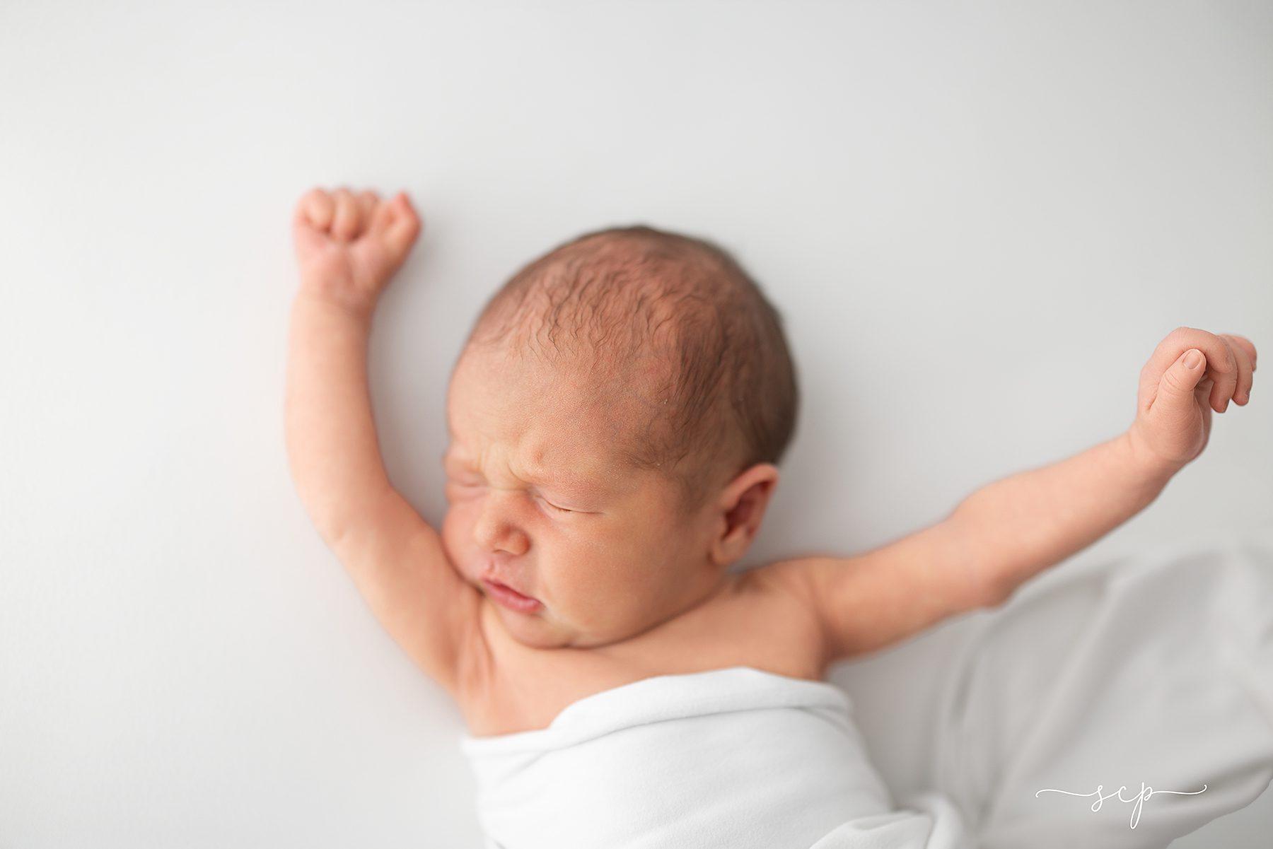knoxville newborn photographer